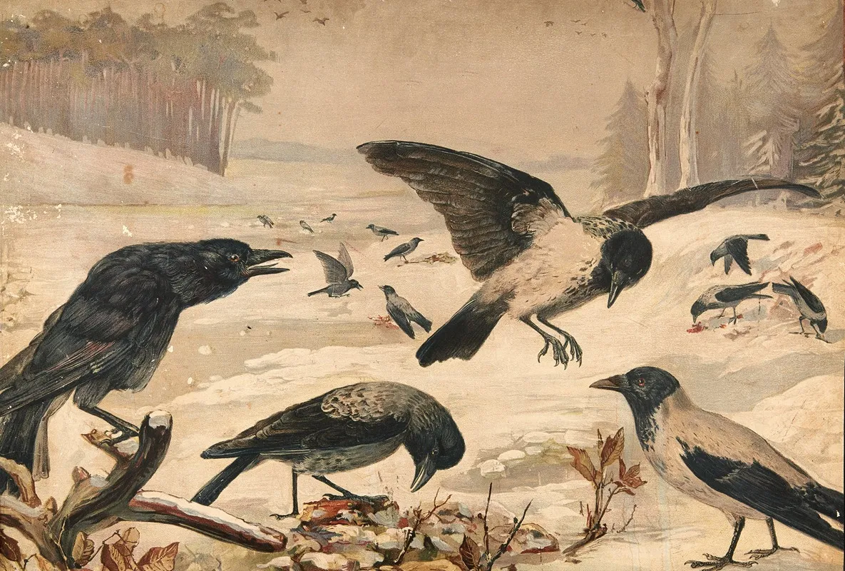 Crows And Rooks