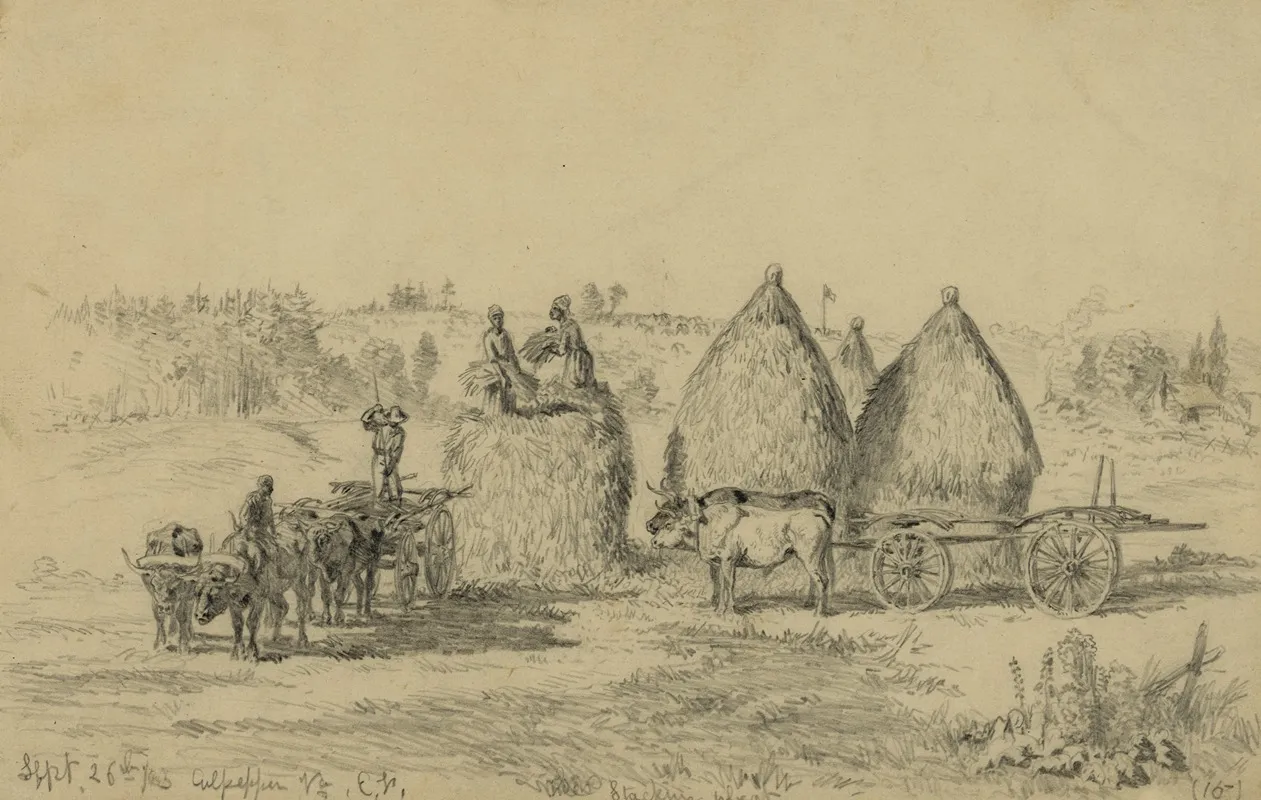 Culpepper Va Stacking Wheat