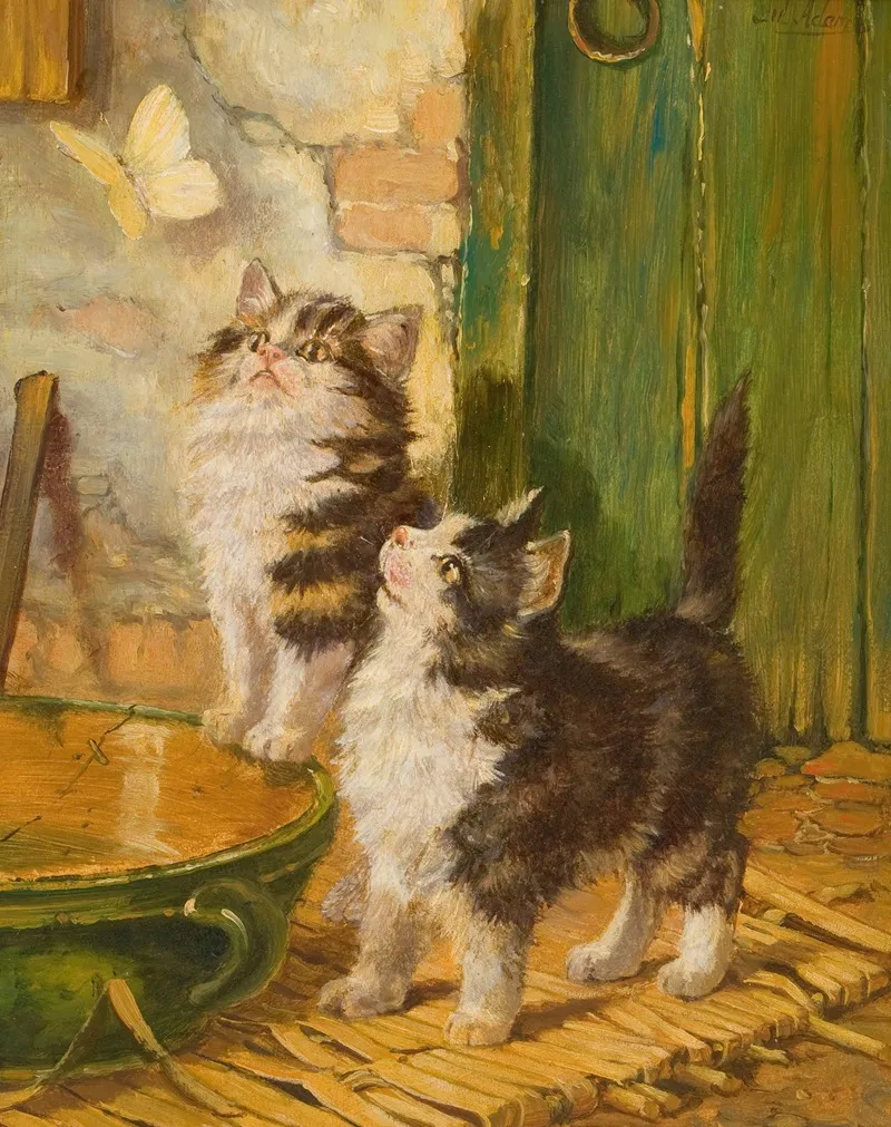 Curiosity And The Butterfly