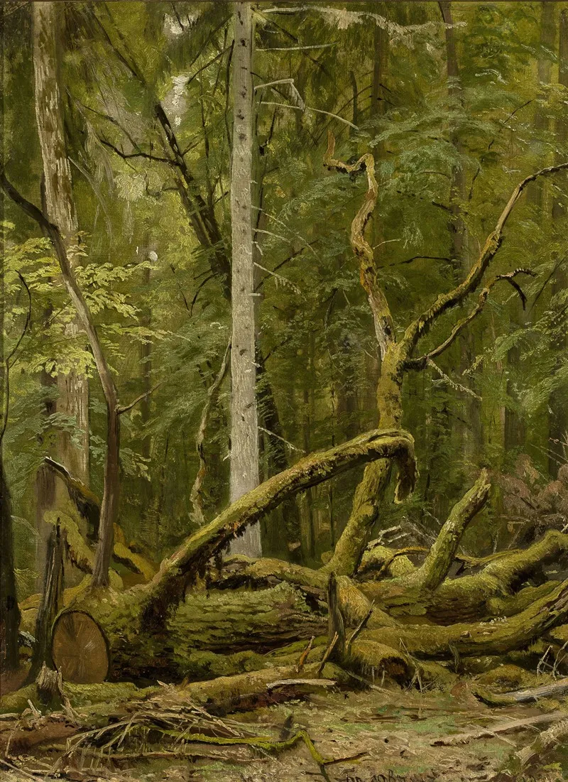 Cut Down Oak by Ivan Ivanovich Shishkin - Canvas Print