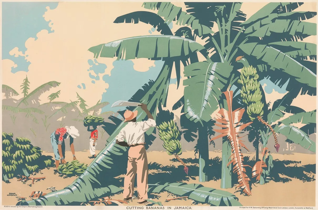 Cutting Bananas In Jamaica by Frank Newbould - Canvas Print
