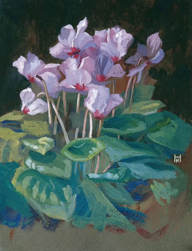 Cyclamen 10