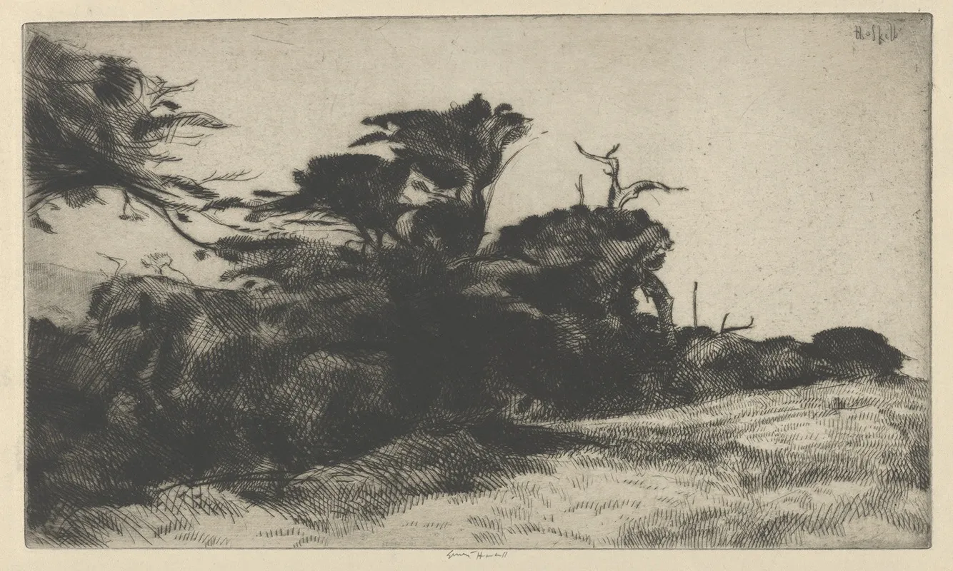 Cypress Study No 2