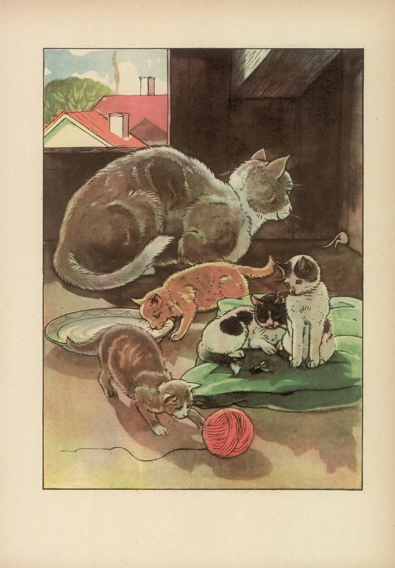 Czy Juz Znacie Pl 11 by Czesław Kędzierski - Canvas Print