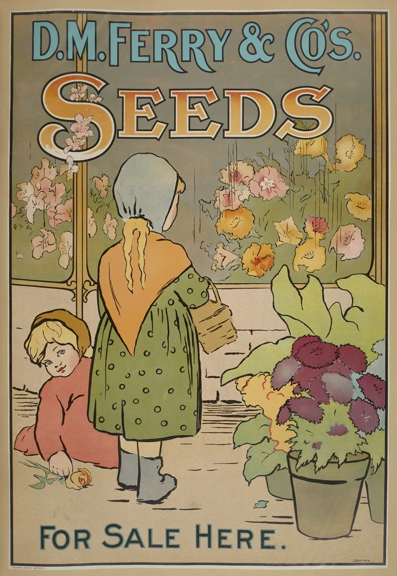 D M Ferry Cos Standard Seeds