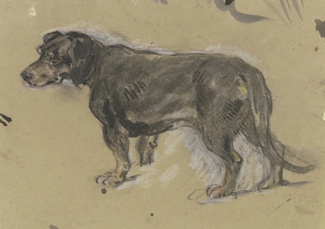 Dachshund To The Left