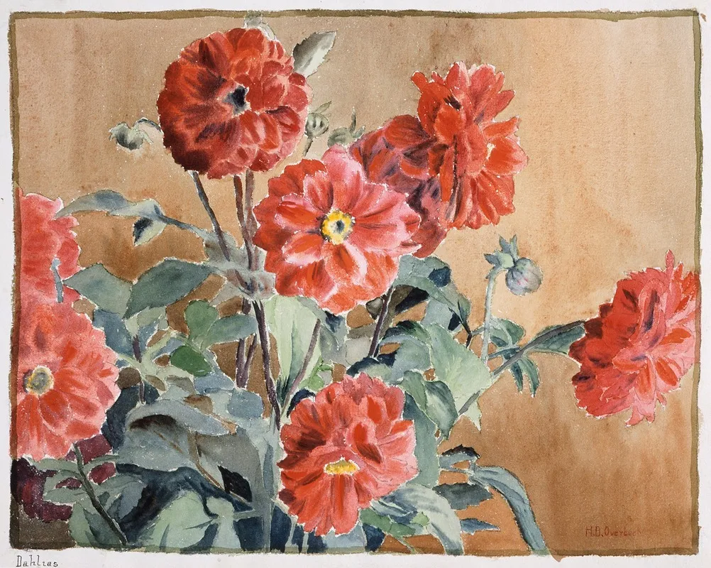 Dahlias 3