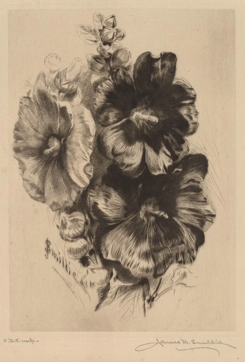 Dark Single Hollyhocks by James David Smillie - Canvas Print