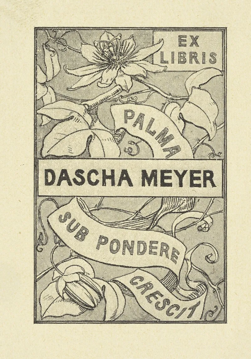 Dascha Meyer
