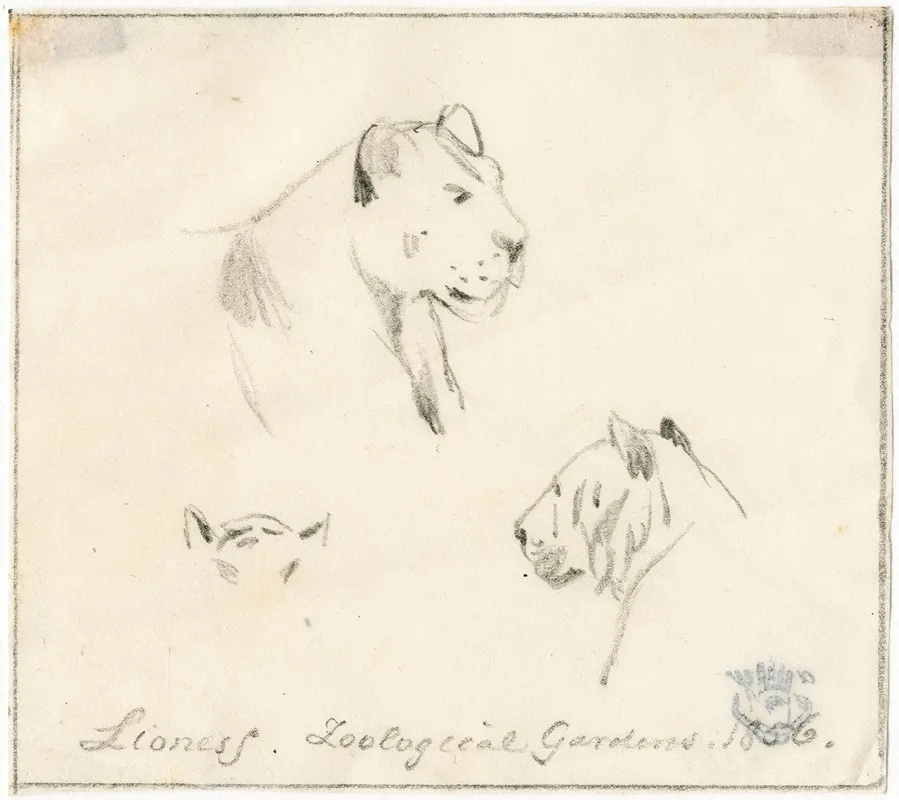 De Kop Van Een Leeuwin