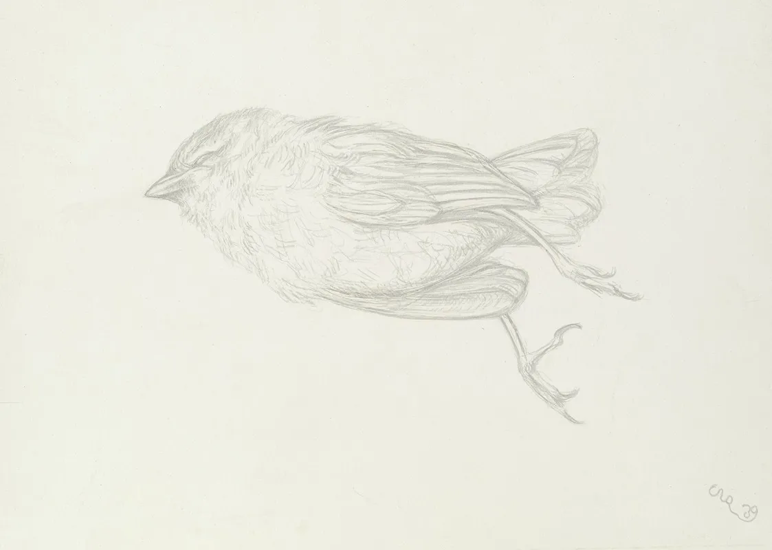 Dead Bird 4