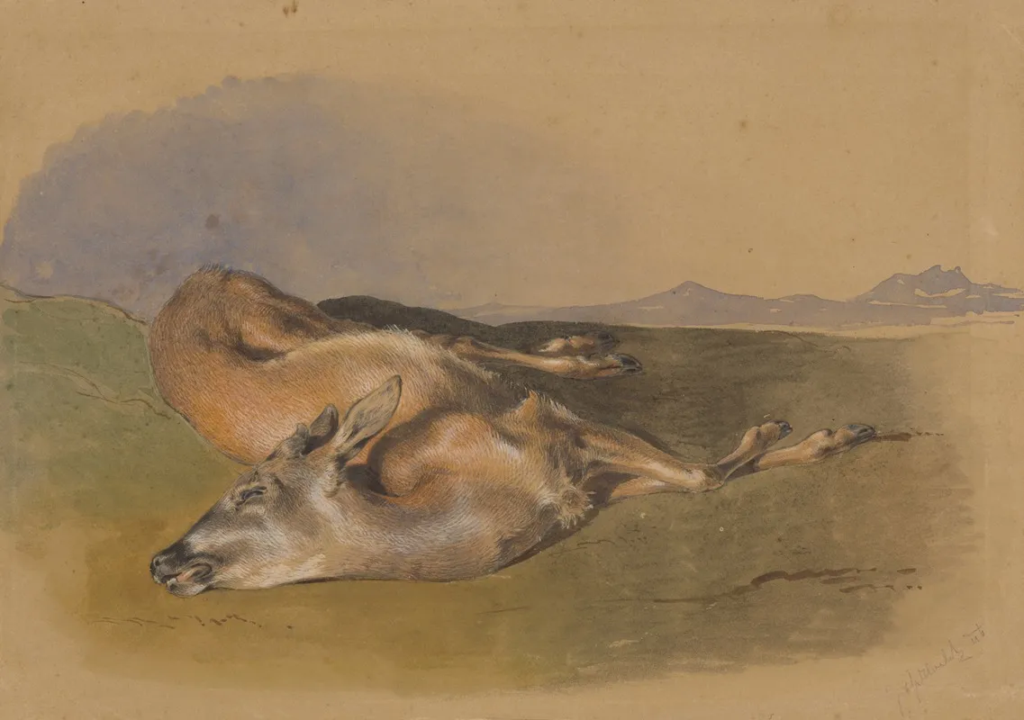 Dead Doe by Friedrich Carl von Scheidlin - Canvas Print