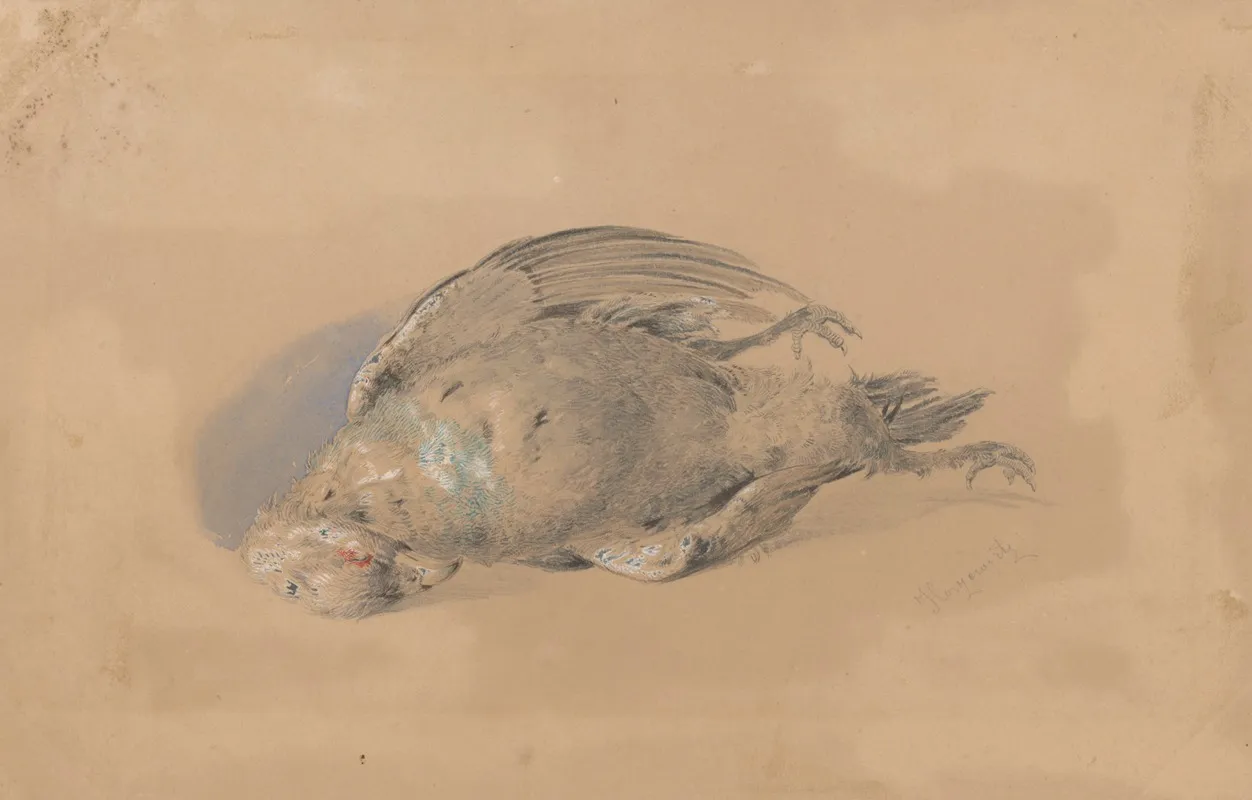 Dead Grouse by Friedrich Carl von Scheidlin - Canvas Print