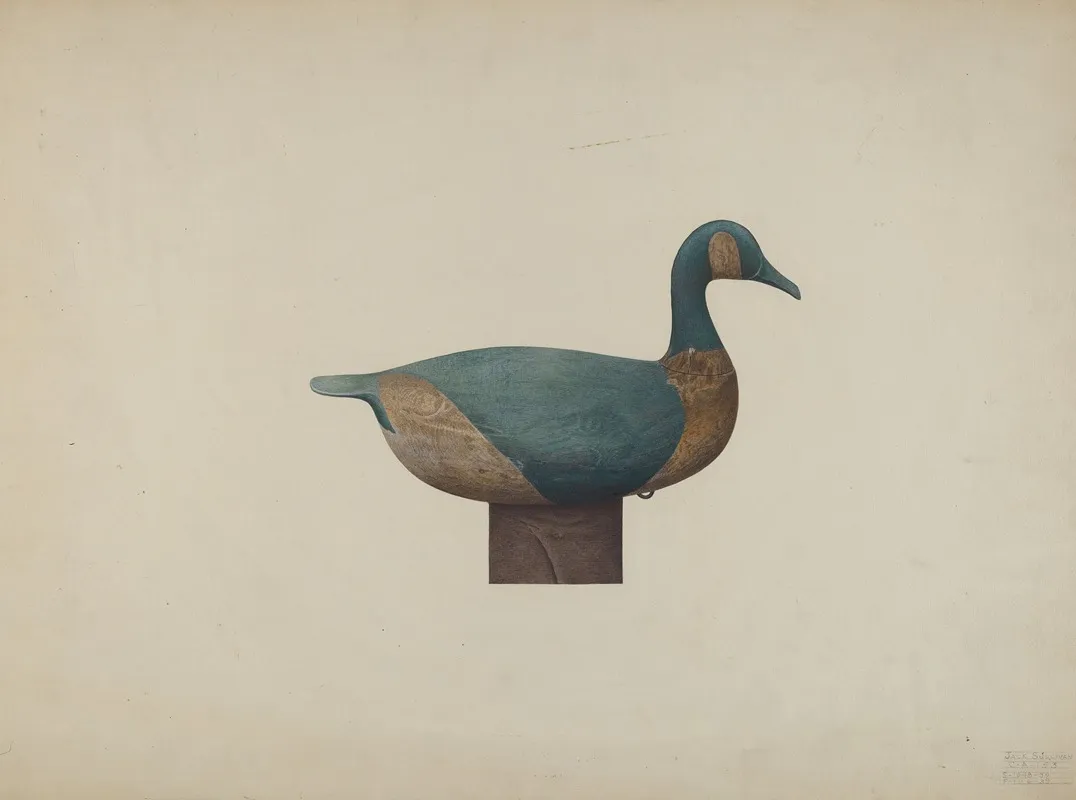 Decoy Duck 2 by John Sullivan - Canvas Print