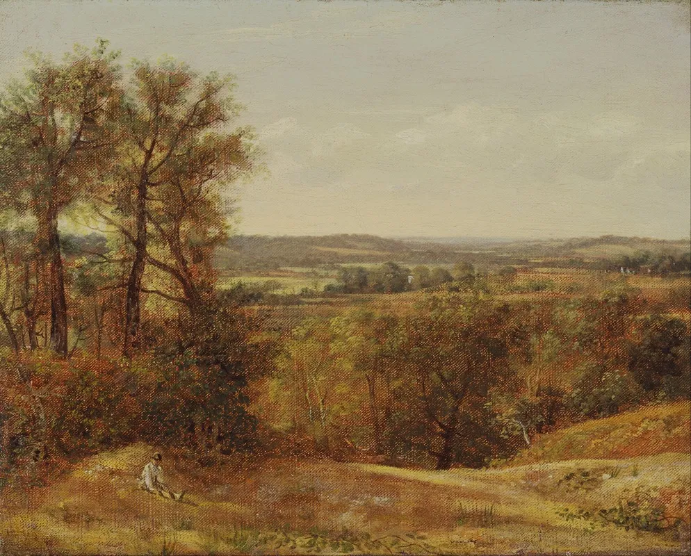 Dedham Vale by John Constable - Canvas Print