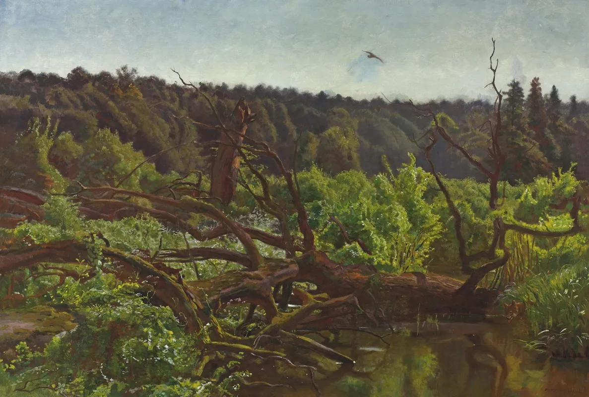 Deep Forest Windthrows by Jozef Chelmonski - Canvas Print