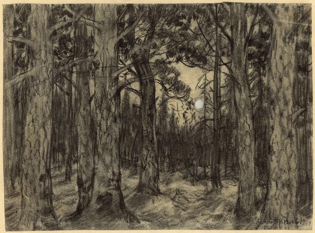 Deep In The Woods Of The Krasnoyarsk Taiga by Boris Vasilievich Smirnov - Canvas Print