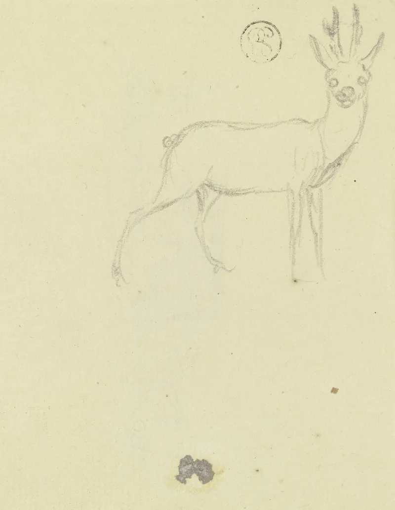 Deer 7