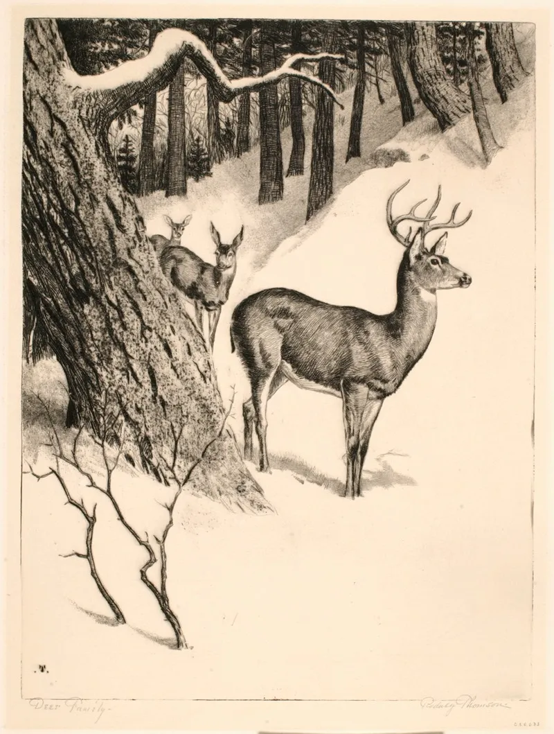 Deer Family