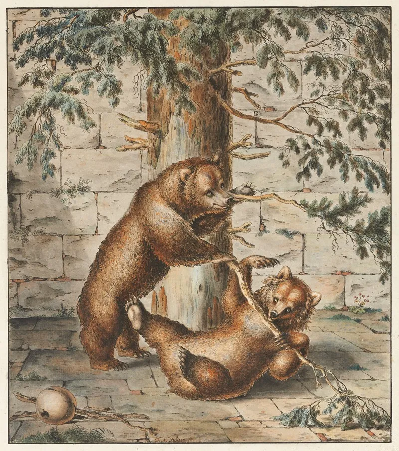 Der Barengraben In Bern