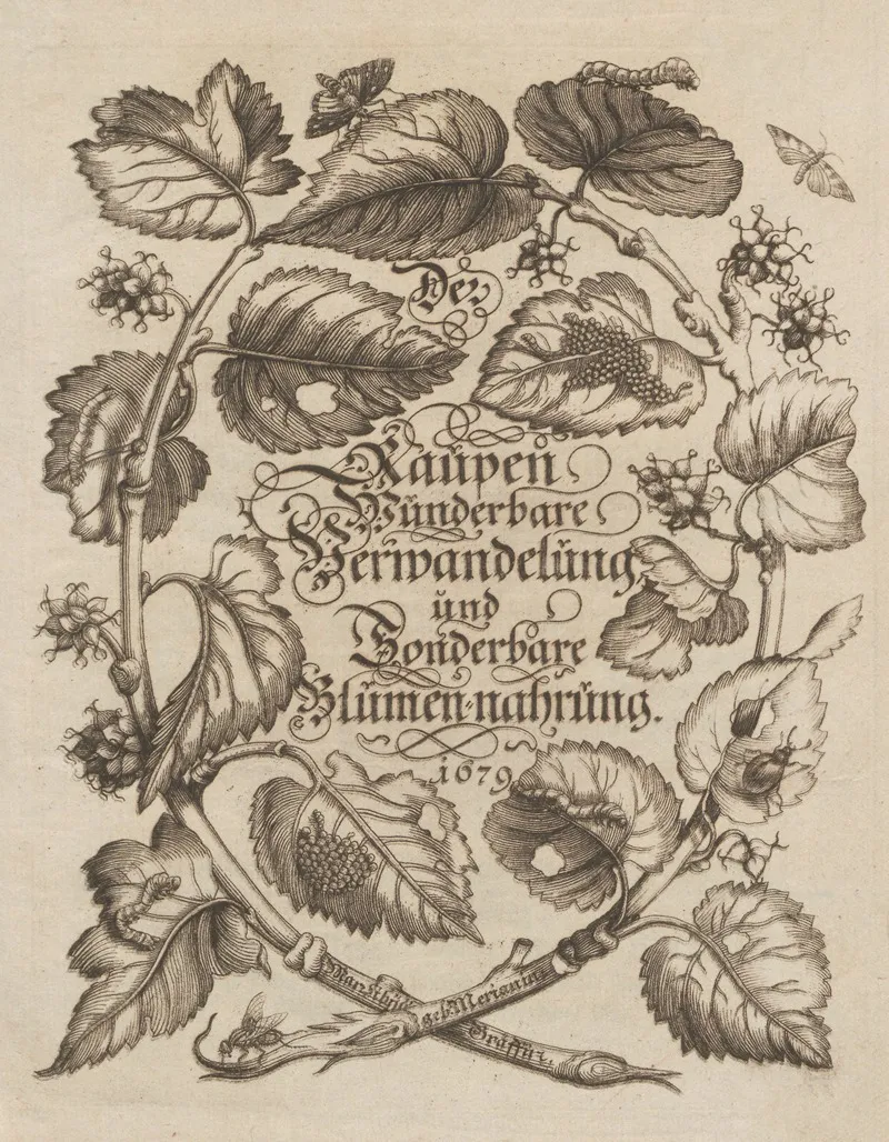 Der Raupen Wunderbare Verwandelung Und Sonderbare Blumen Nahrung Pl 001 by Maria Sibylla Merian - Canvas Print