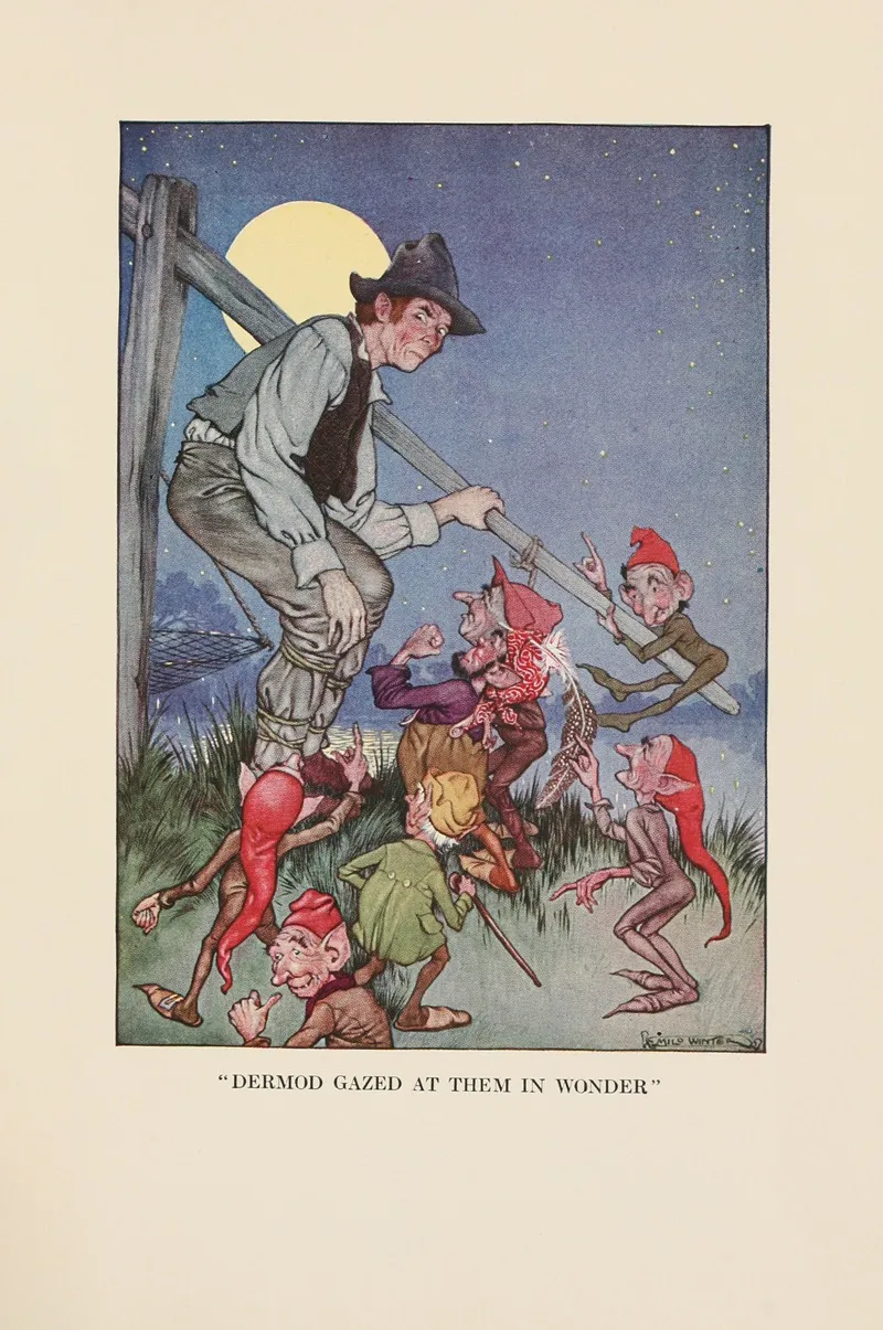 Dermod Gazed At Them In Wonder