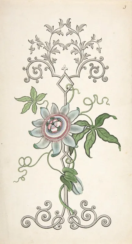Design For Panel Decoration Centered On A Passion Flower by J. Hulme - Canvas Print