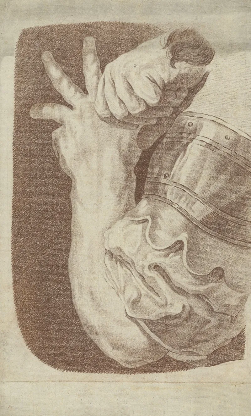Detail Of An Arm