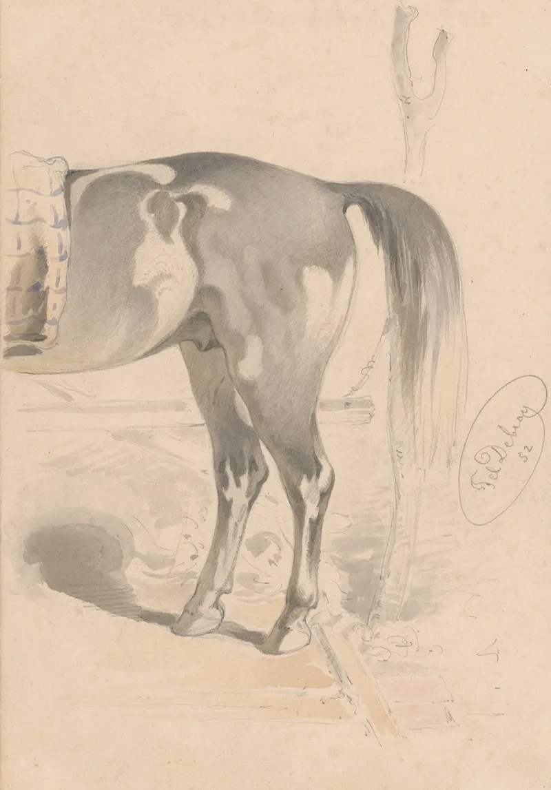 Detail Study Of The Back Of A Horse by Friedrich Carl von Scheidlin - Canvas Print