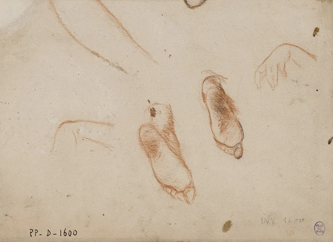 Deux Etudes De Pieds Et De Main