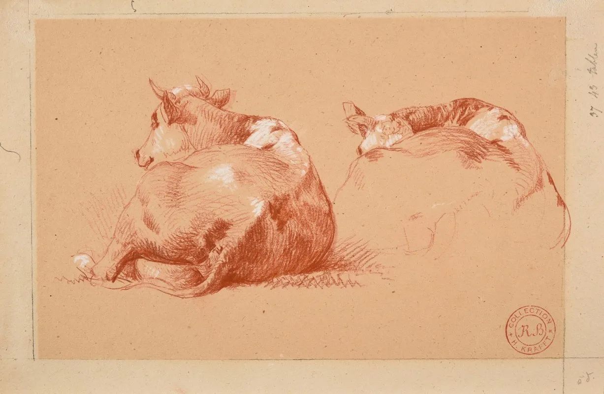 Deux Etudes De Vache Couchee