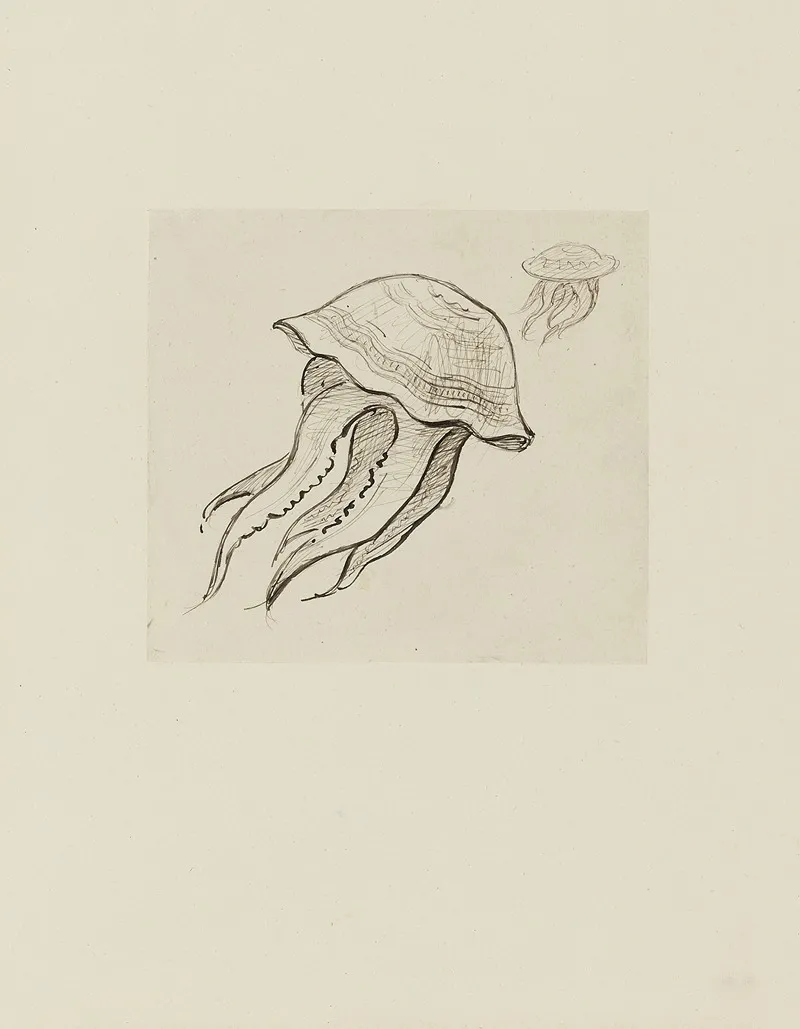 Deux Meduses Dessin Non Utilise by Achille Granchi-Taylor - Canvas Print
