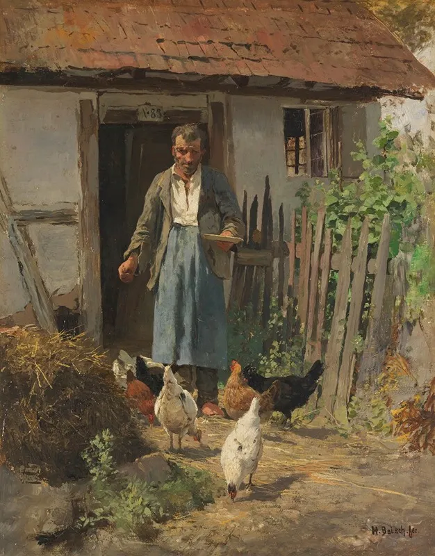 Die Futterung Der Huhner