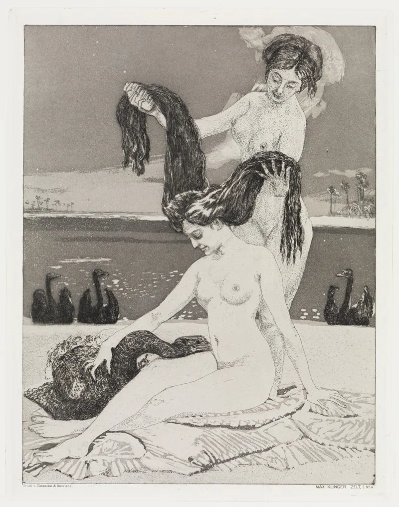 Die Schwane Zelt Opus Xiv 1 Teil Nr 4