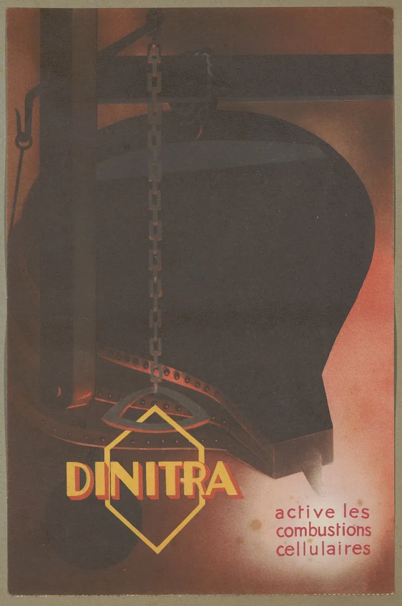 Dinitra 2