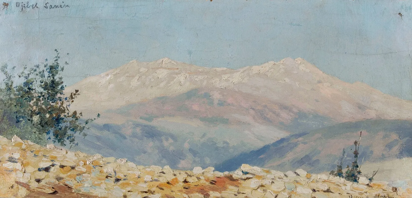 Djebel Saharien