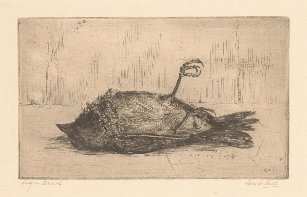 Dode Vogel by Suze de Lint - Canvas Print