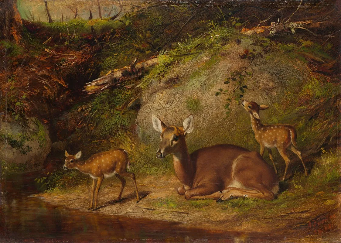 Doe And Two Fawns