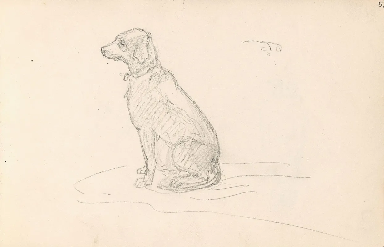 Dog 3