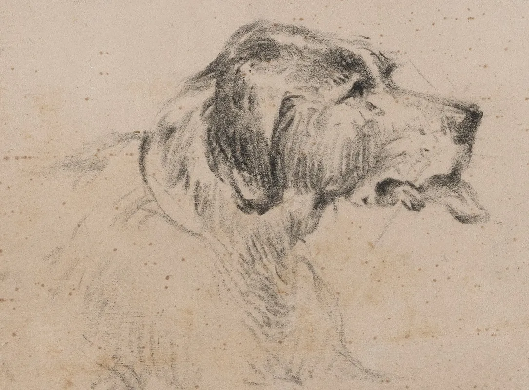 Dog 7
