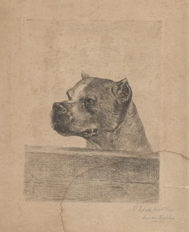 Dog Head by Louis Van Engelen - Canvas Print