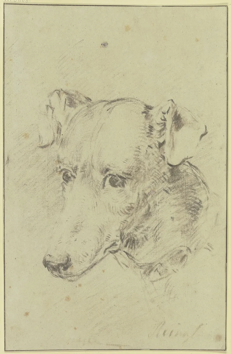 Dogs Head To The Left