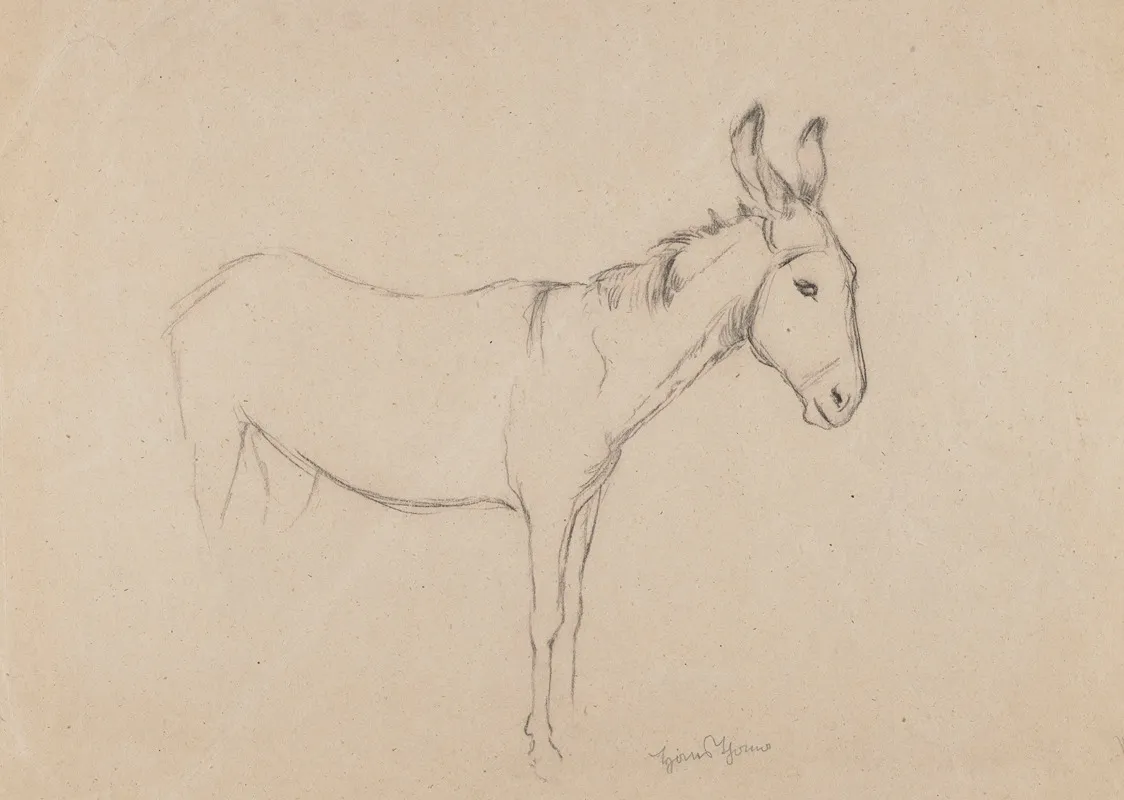 Donkey 3