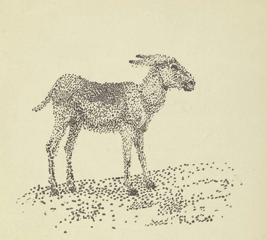 Donkey 4