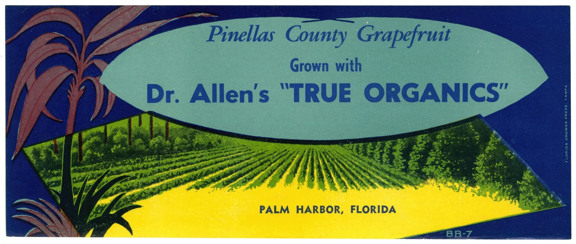 Dr Allens True Organics Grapefruit Label