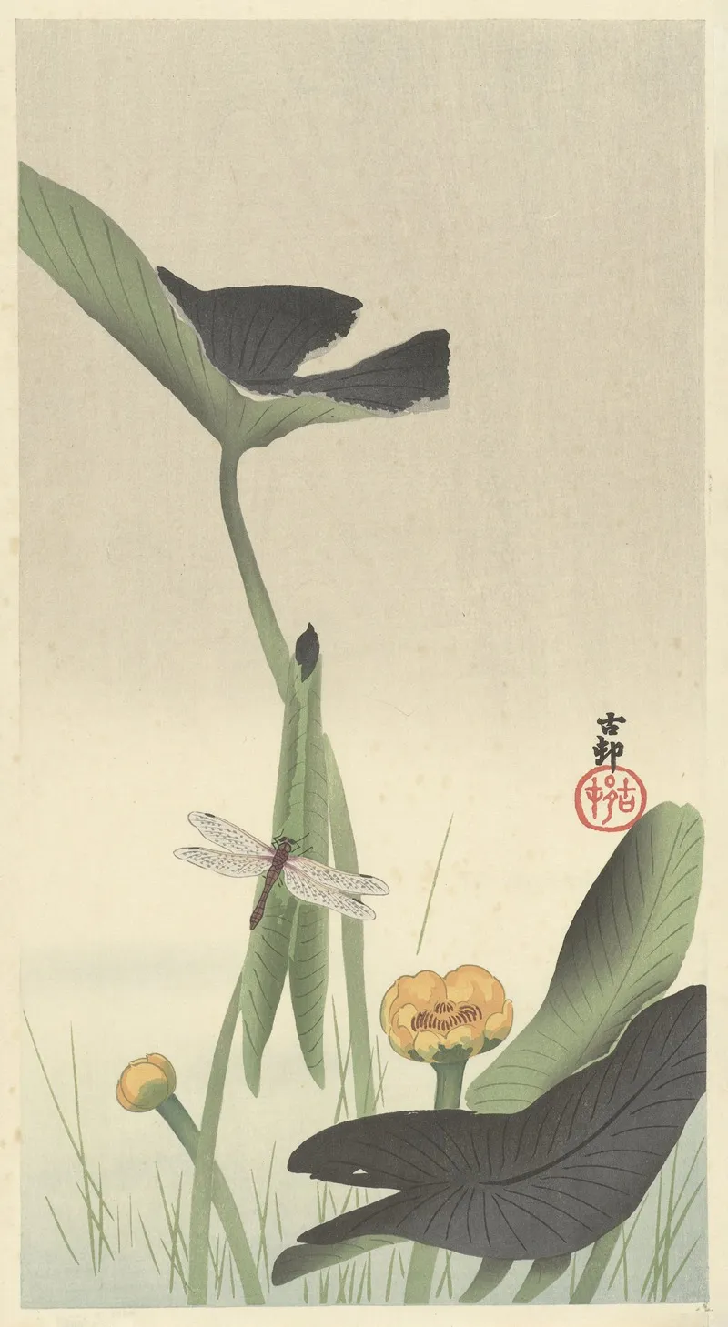 Dragonfly And Lotus by Ohara Koson - Canvas Print
