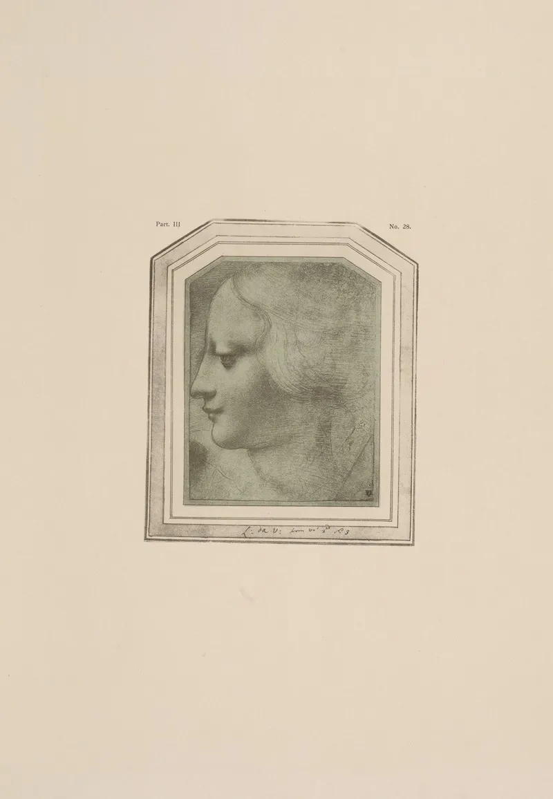 Drawing Of Female Head In Profile by P. &amp; D. Colnaghi - Canvas Print