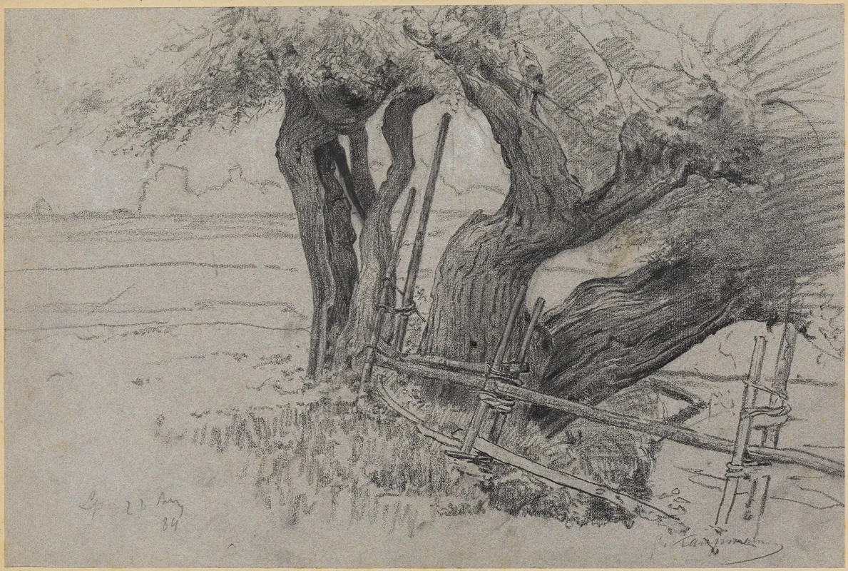 Drei Alte Weiden Bei Langenpreising by Gustav Kampmann - Canvas Print