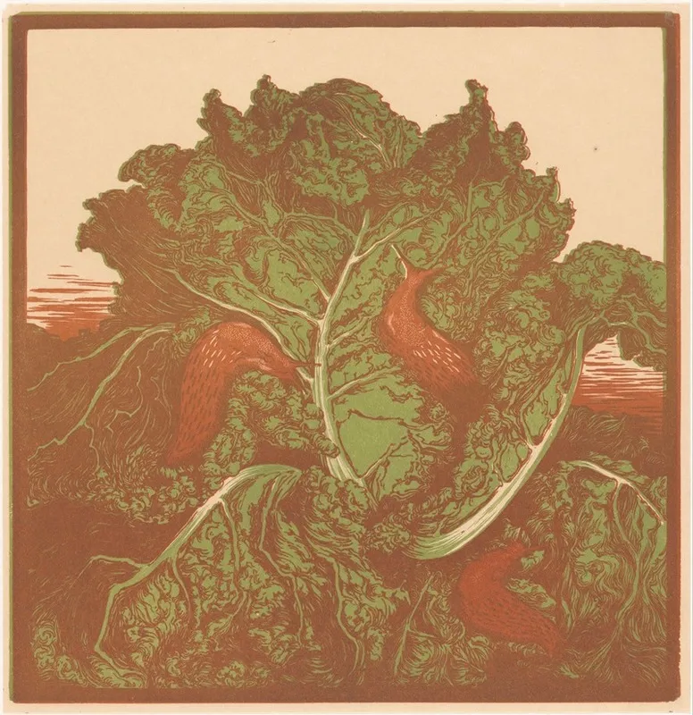 Drie Naaktslakken Op Een Kool