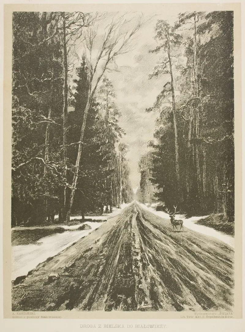 Droga Z Bielska Do Bialowiezy